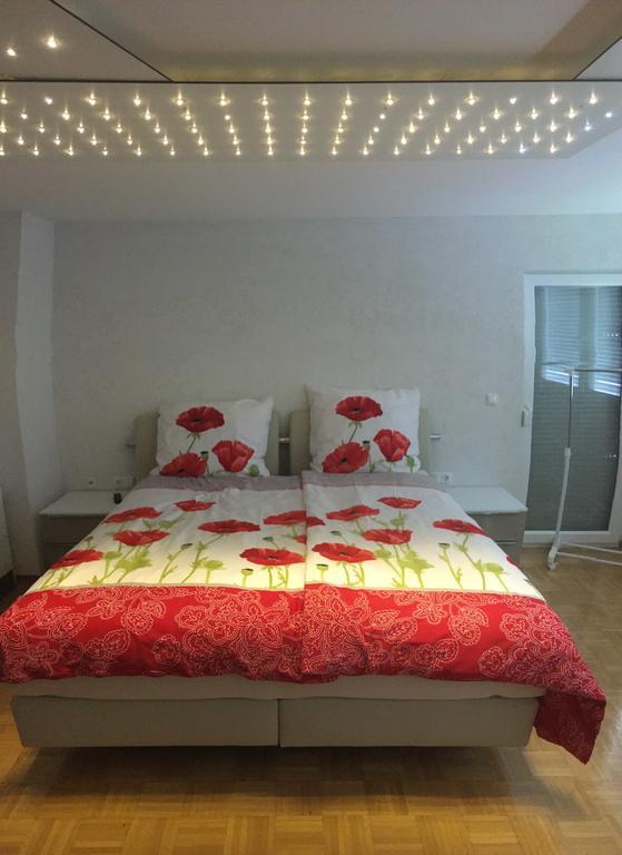 Ferienwohnung Am Ziegelbach Hechingen Extérieur photo